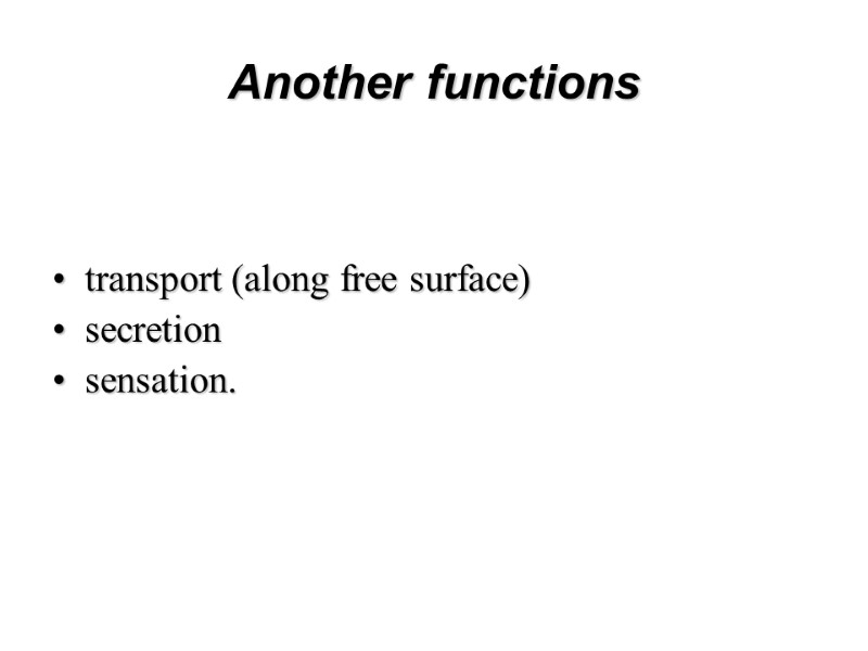 Another functions   transport (along free surface)  secretion sensation.